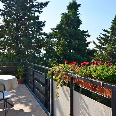 Brankaa Apartamento *